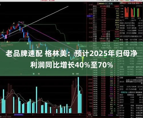 老品牌速配 格林美：预计2025年归母净利润同比增长40%至70%