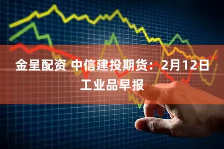 金呈配资 中信建投期货:2月12日工业品早报