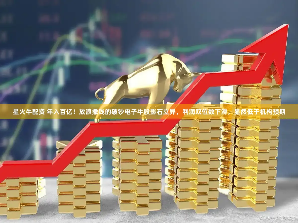 星火牛配资 年入百亿！放浪撒钱的破钞电子牛股影石立异，利润双位数下滑，显然低于机构预期