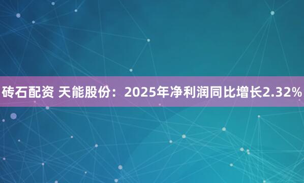 砖石配资 天能股份：2025年净利润同比增长2.32%