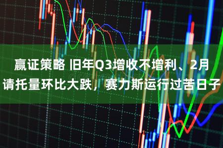 赢证策略 旧年Q3增收不增利、2月请托量环比大跌，赛力斯运行过苦日子
