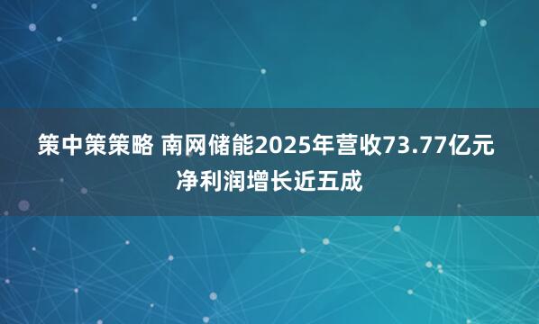 策中策策略 南网储能2025年营收73.77亿元 净利润增长近五成