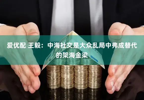 爱优配 王毅：中海社交是大众乱局中弗成替代的架海金梁