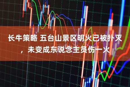 长牛策略 五台山景区明火已被扑灭，未变成东说念主员伤一火